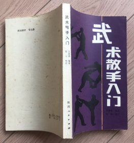 武术散手入门