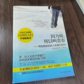 因为痛，所以叫青春：写给独自站在人生路口的你