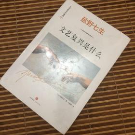 文艺复兴的故事01：文艺复兴是什么：《罗马人的故事》作者盐野七生最新系列作品。文艺复兴，人类群星闪耀时。