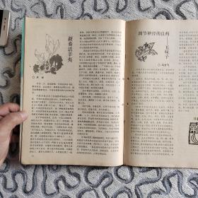 中老年保健1992年2期 收录：谈谈心绞痛的治疗和“保健盒”的改进•黄宛。肝海绵状血管瘤宜早治疗•伍锐敏。花粉与过敏•潘德海。警惕无痛性血尿•徐远。植物神经和植物神经功能失调•李舜伟。新春话辛夷•洪彬。调节神经的良药五味子•马文飞。访泌尿科专家、医学教育家吴阶平教授•顾洪彬。有关骨质疏松的对话•李子荣。什么是药物中毒性神经炎•耿同超。慢性骨髓炎如何治疗？胆囊息肉是怎么回事？吃西洋参会引起过敏吗？