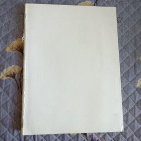 中国银楼与银器（总述）(仅此一本)