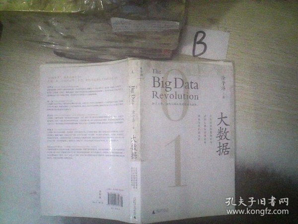 大数据：正在到来的数据革命，以及它如何改变政府、商业与我们的生活