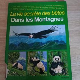 dans les montagnes 法文  在山上