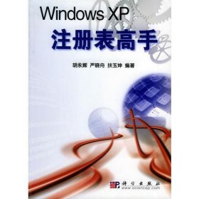 Windows XP注册表高手