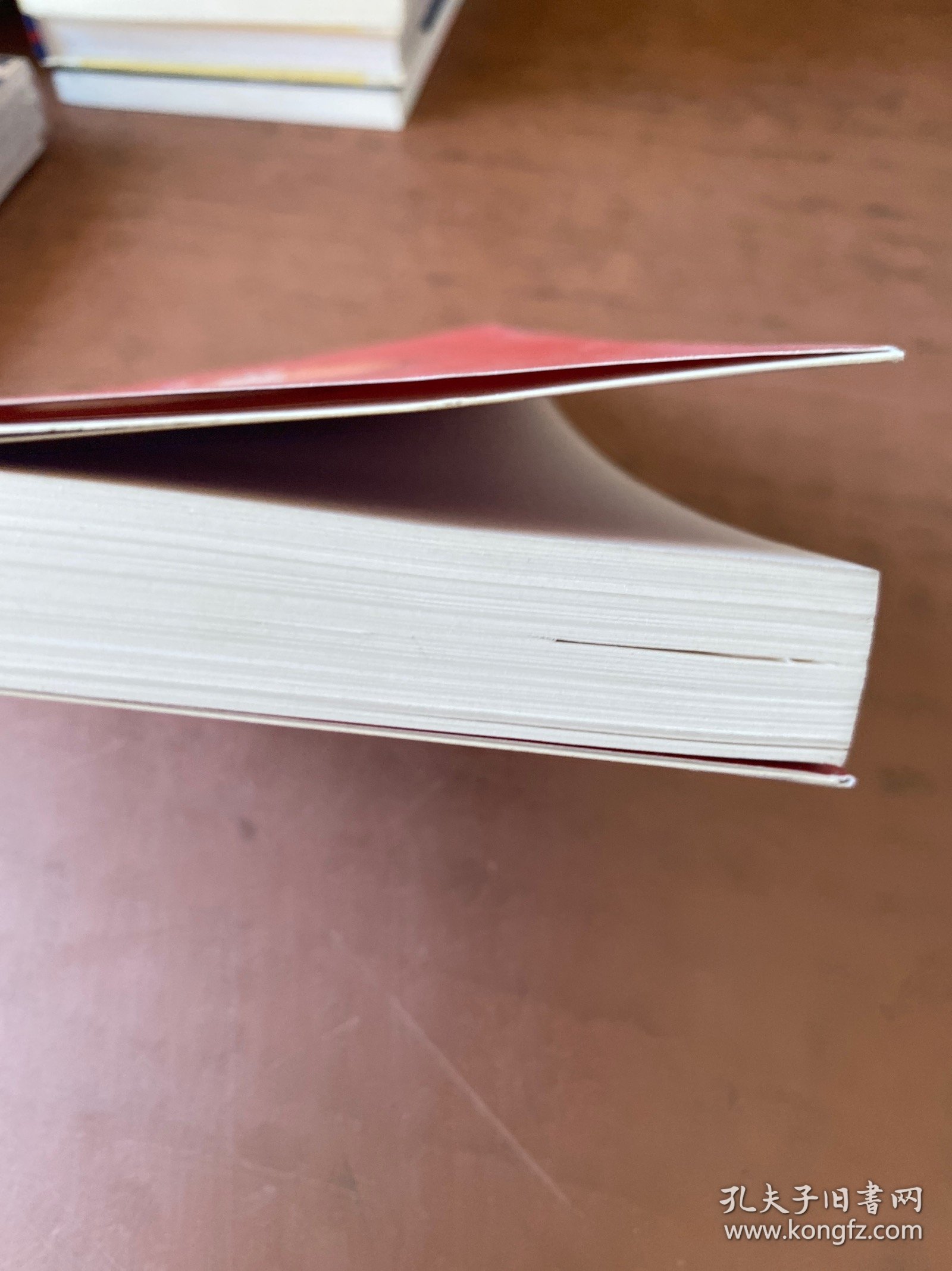 多难登临录：金融危机与中国前景