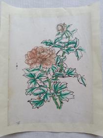 手绘线稿.已粗略上色.便宜出.看好再拍.传统手工托裱.约18.3x23.8cm(不含命纸).老破残文本.完美主义者勿扰.

可装镜框装饰书房、工作室.不议价.