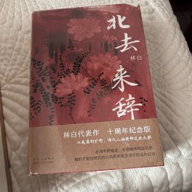 北去来辞（华语文学传媒大奖得主林白代表作十周年纪念版）