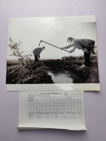 25 新闻照片一张 水渠 武汉晚报记者摄影（30×25cm）