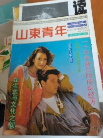 山东青年1993年第4期--