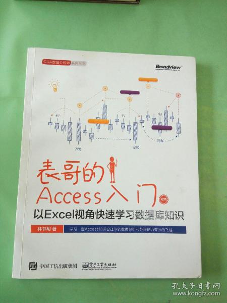 表哥的Access入门：以Excel视角快速学习数据库知识