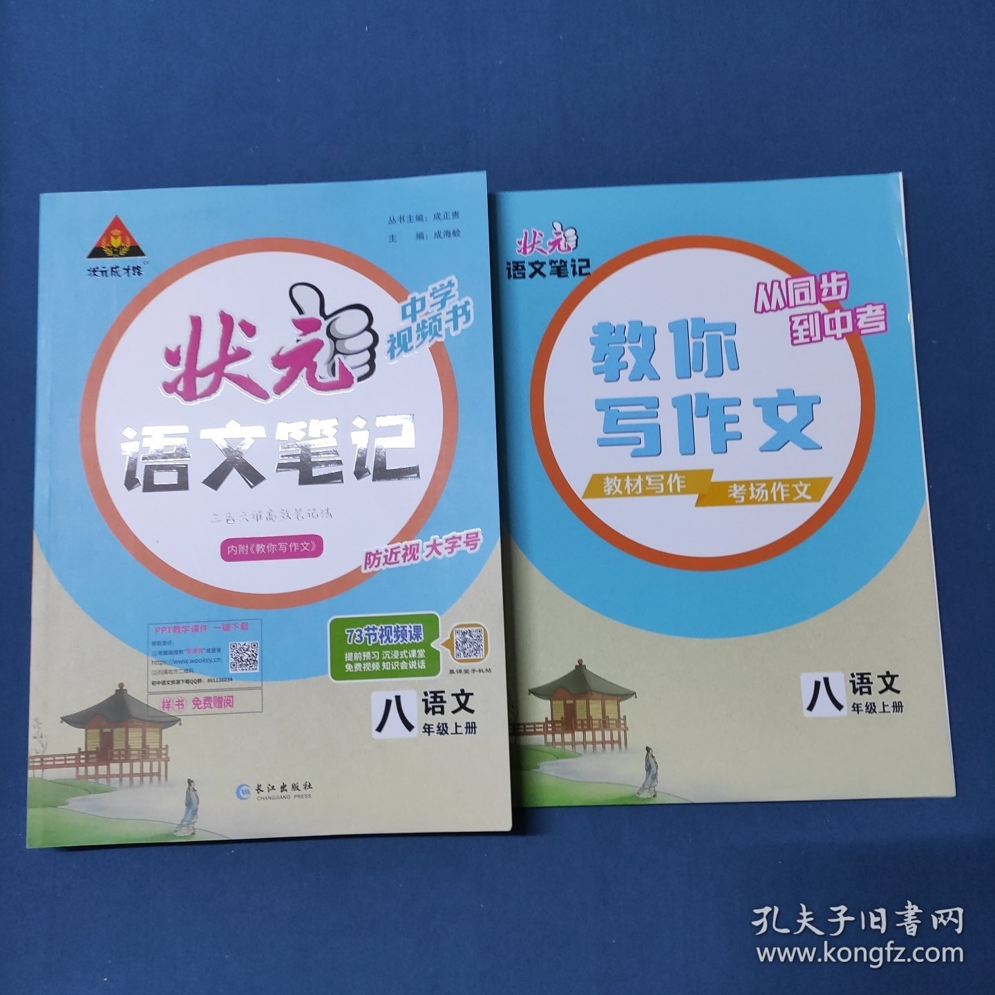 状元成才路.状元语文笔记.语文八年级.上册