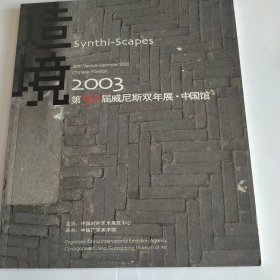 2003第50届威尼斯双年展，中国馆。