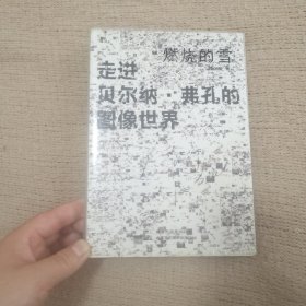 燃烧的雪：走进贝尔纳·弗孔的图像世界