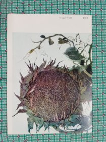 吴冠中油画写生（11幅）