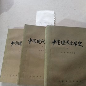 中国现代文学史（一三三）