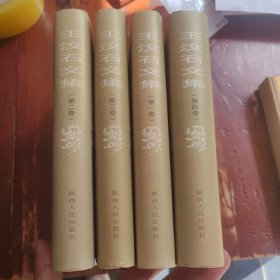 王汶石文集