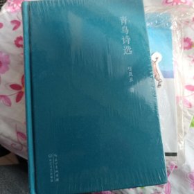 青鸟诗选
