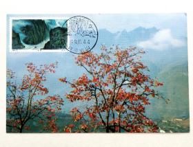 1994-18（6-3）《长江三峡》之巫峡邮票极限片，片源：中国旅游出版社规范片，销1994年11月4月四川巫山巫峡风景戳。