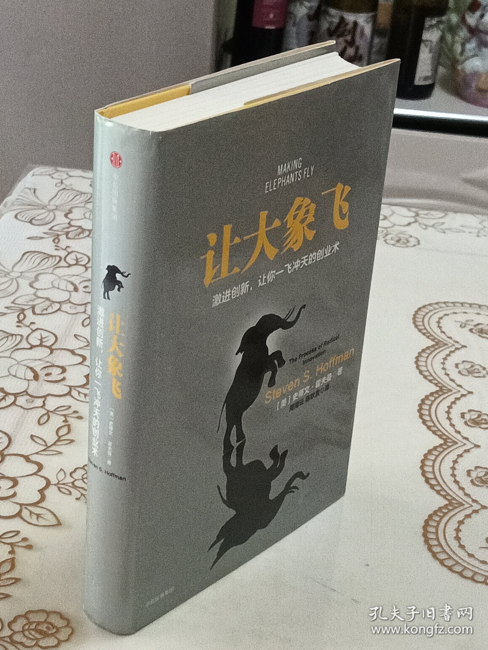 让大象飞:激进创新，让你一飞冲天的创业术
