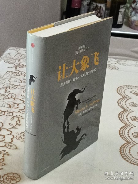 让大象飞:激进创新，让你一飞冲天的创业术