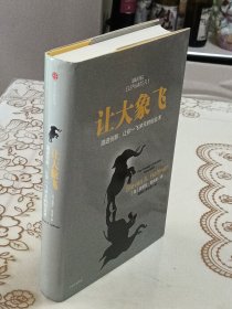 让大象飞:激进创新，让你一飞冲天的创业术