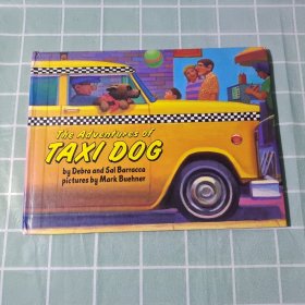 The adventures of taxi dog