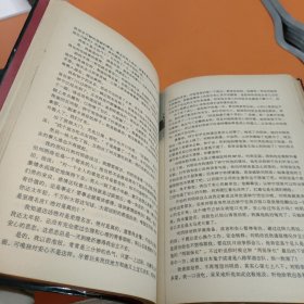 海岩小说经典插图本（全入册） 精装本(《一场风花雪月的事》。《你的生命如此多情》。玉观音、拿什么拯救你我的爱人、《深牢大狱》《河流如血》，《永不瞑目》，便衣警察