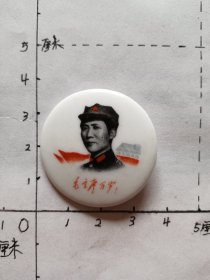 毛主席像章（瓷章，八角帽 背面：山东邹县）