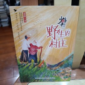 野生的村庄（2020福建省暑期推荐图书）