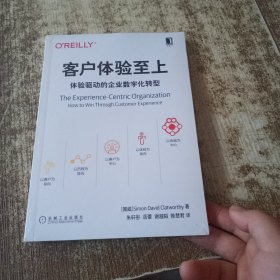 客户体验至上：体验驱动的企业数字化转型 半开封