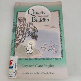 quietly comes the buddha