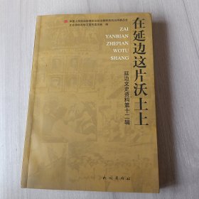 延边文史资料第12辑：在延边这片沃土上