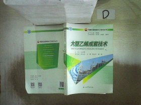 大型乙烯成套技术/中国石油炼油化工技术丛书