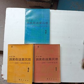 历史在这里沉思（1966一1976年记实）1一3册