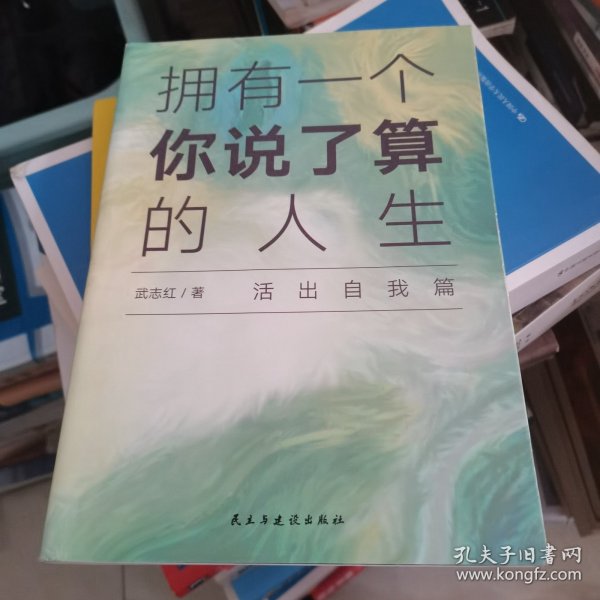 武志红：拥有一个你说了算的人生·活出自我篇