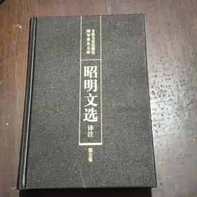 昭明文选译注 第五卷 精装