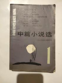 1982中篇小说选