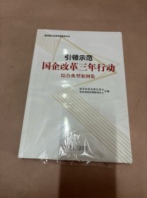 引领示范：国企改革三年行动综合典型案例集