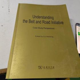 Understanding The Belt and Road Initiative: Case study perspectives(一带一路·专题研究系列)