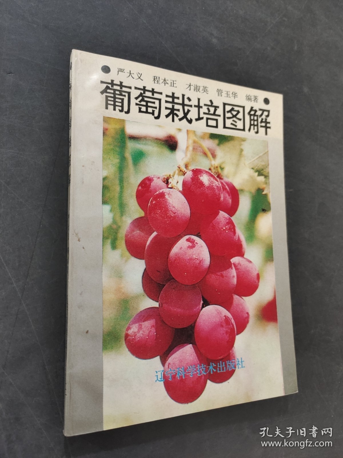 葡萄栽培图解