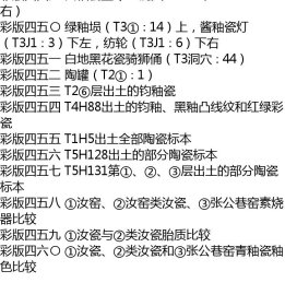 预售  汝州张公巷窑遗址