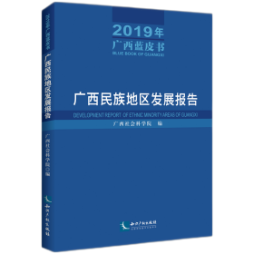 广西民族地区发展报告（2019年广西蓝皮书）——广西民族地区发展报告