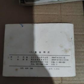连环画 电视连续剧 陈真1-10