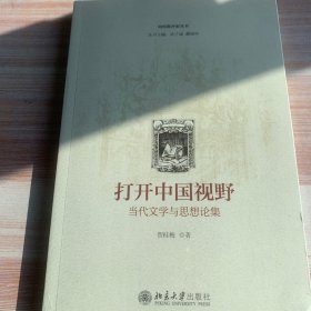 打开中国视野——当代文学与思想论集