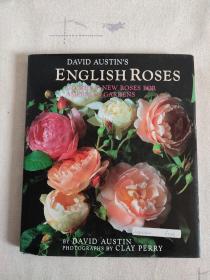 David Austin's English Roses 大卫·奥斯汀《英国玫瑰》