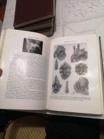 THE JOURNAL OF UROLOGY （泌尿科杂志）1956年12期全 精装合订4册全 英文原版医学书