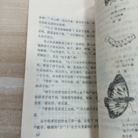 大电子和小专家