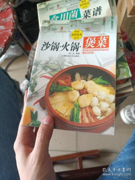 沙锅·火锅·煲菜/新版家庭食谱丛书