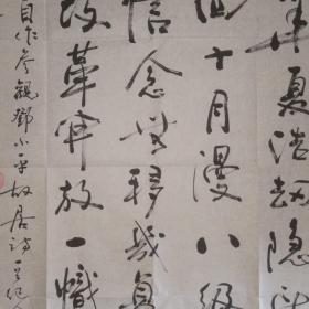 江西书协顾问陈兰洲行书:自作参观邓小平故居诗一首