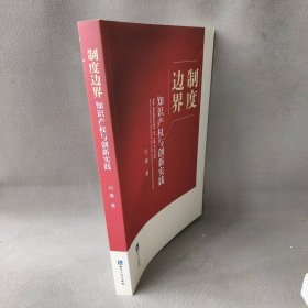 【正版二手】制度边界：知识产权与创新实践